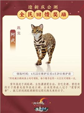 凤凰天龙八部3私服